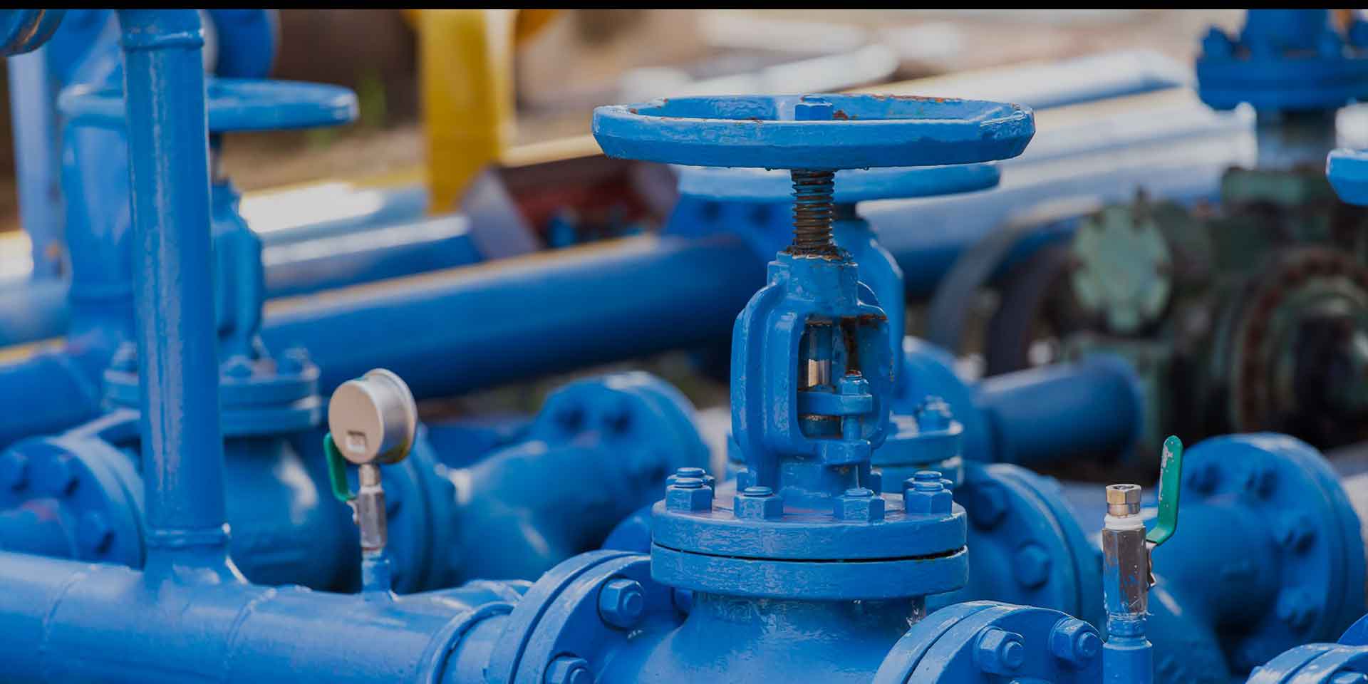 Changshui Technology Group Co., Ltd.