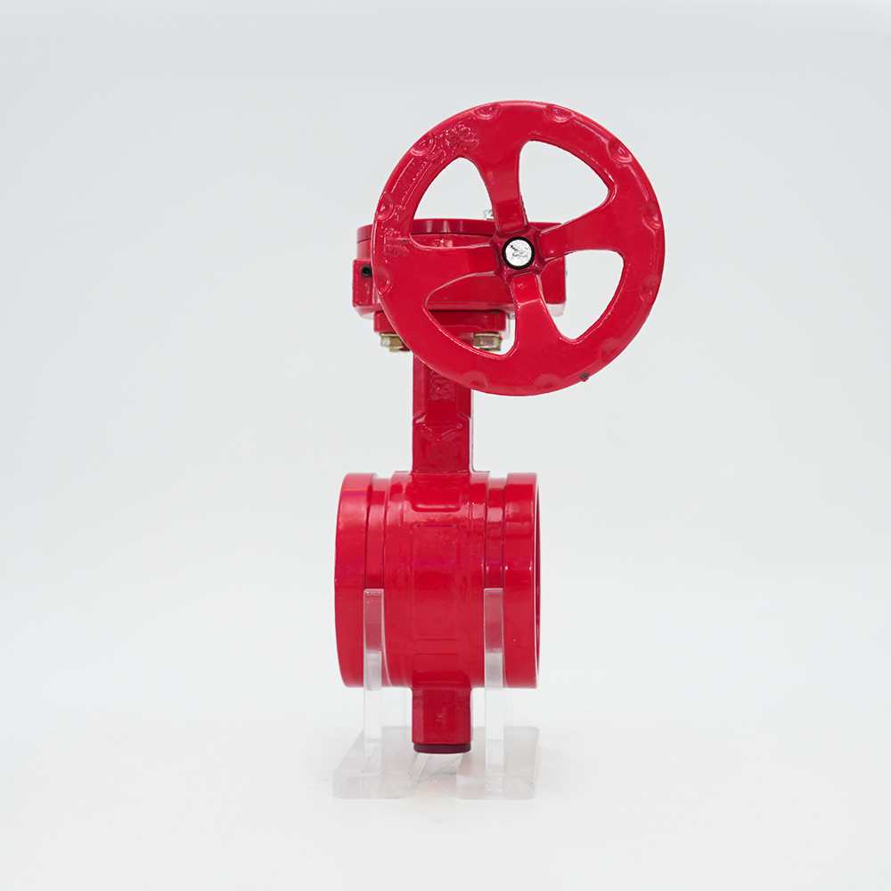 Supapă fluture cu canelură pentru turbină D381X-16Q